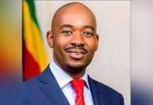 Chamisa tears into Sadc, AU Chamisa tears into Sadc, AU