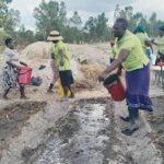 Mbariro: How women fight climate change in Murehwa Mbariro: How women fight climate change in Murehwa