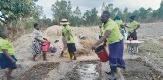 Mbariro: How women fight climate change in Murehwa Mbariro: How women fight climate change in Murehwa