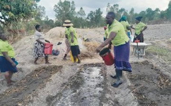 Mbariro: How women fight climate change in Murehwa Mbariro: How women fight climate change in Murehwa