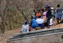 Jumbo kills Kariba woman Jumbo kills Kariba woman