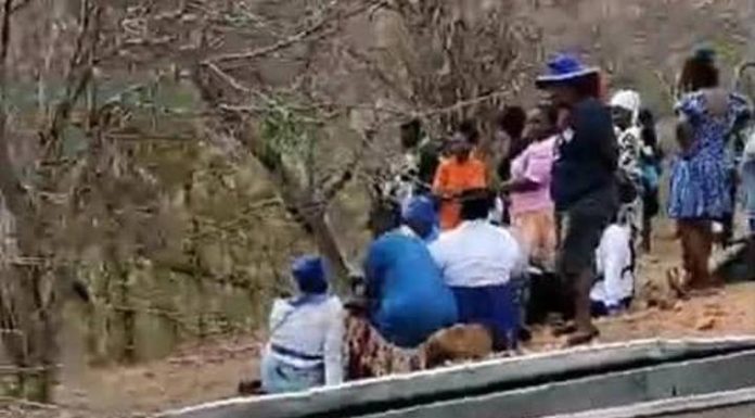 Jumbo kills Kariba woman Jumbo kills Kariba woman