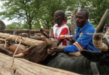 Red Cross Aids Farming Communities in Drought Relief Red Cross Aids Farming Communities in Drought Relief