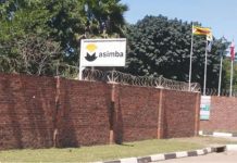Masimba eyes sustained profitability into 2026 Masimba eyes sustained profitability into 2026