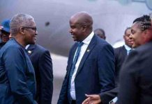 Dangote’s Zimbabwe Comeback: Lessons from the Past Dangote's Zimbabwe Comeback: Lessons from the Past