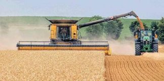 Zimbabwe in record wheat harvest, but imports hit new peak Zimbabwe in record wheat harvest, but imports hit new peak