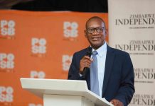 Boost for ZiG as reserves near US$1bn Boost for ZiG as reserves near US$1bn