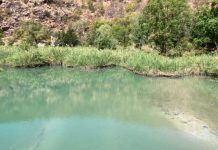 Hwange Residents Petition Parliament on Deka River Pollution Hwange Residents Petition Parliament on Deka River Pollution