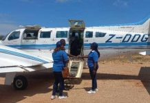 Falcon Air Launches Weekly Flights Harare Beitbridge Falcon Air Launches Weekly Flights Harare Beitbridge