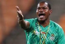 Norman Mapeza Leaves FC Platinum Norman Mapeza Leaves FC Platinum