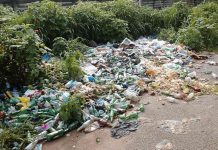 MP urges stiffer penalties for polluters MP urges stiffer penalties for polluters