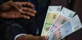 November ZiG annual inflation rate drops to 19% November ZiG annual inflation rate drops to 19%