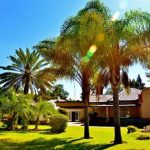 Govt Introduces Tax Incentives for Tourism Sector Govt Introduces Tax Incentives for Tourism Sector