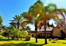 Govt Introduces Tax Incentives for Tourism Sector Govt Introduces Tax Incentives for Tourism Sector