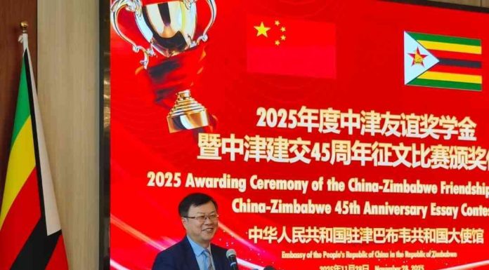 ‘Chinese scholarships an investment in potential’ ‘Chinese scholarships an investment in potential’