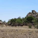 Joint ventures to reactivate underutilised farms in Zimbabwe Joint ventures to reactivate underutilised farms in Zimbabwe