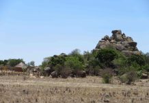 Joint ventures to reactivate underutilised farms in Zimbabwe Joint ventures to reactivate underutilised farms in Zimbabwe