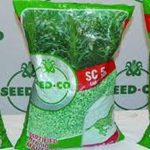 Seed Co International narrows loss on cost cuts Seed Co International narrows loss on cost cuts