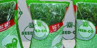 Seed Co International narrows loss on cost cuts Seed Co International narrows loss on cost cuts