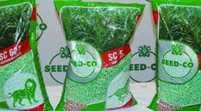 Seed Co International narrows loss on cost cuts Seed Co International narrows loss on cost cuts