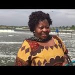 Zim targets US$25bn livestock sector by 2030 Zim targets US$25bn livestock sector by 2030