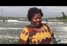 Zim targets US$25bn livestock sector by 2030 Zim targets US$25bn livestock sector by 2030