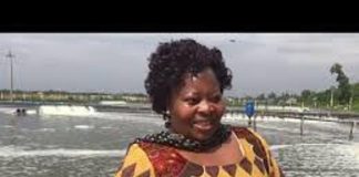 Zim targets US$25bn livestock sector by 2030 Zim targets US$25bn livestock sector by 2030