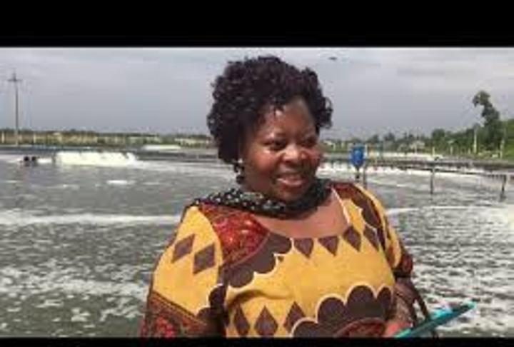 Zim targets US$25bn livestock sector by 2030 Zim targets US$25bn livestock sector by 2030