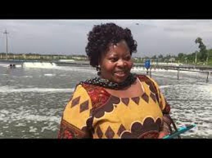 Zim targets US$25bn livestock sector by 2030 Zim targets US$25bn livestock sector by 2030