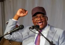 Zanu PF nullifies Tungwarara co-option Zanu PF nullifies Tungwarara co-option