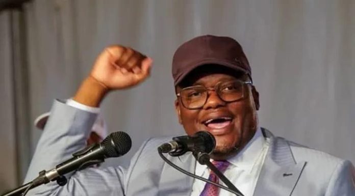 Zanu PF nullifies Tungwarara co-option Zanu PF nullifies Tungwarara co-option