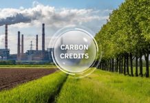 Carbon insurance: A key engine for economic growth Carbon insurance: A key engine for economic growth