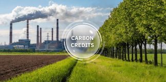 Carbon insurance: A key engine for economic growth Carbon insurance: A key engine for economic growth