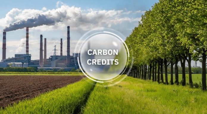 Carbon insurance: A key engine for economic growth Carbon insurance: A key engine for economic growth