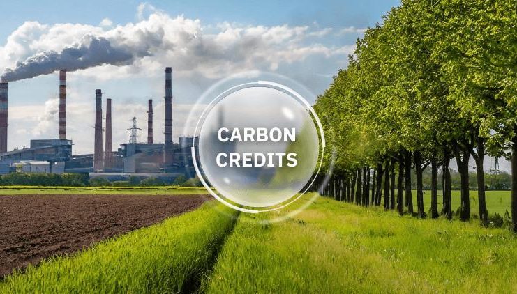 Carbon insurance: A key engine for economic growth Carbon insurance: A key engine for economic growth