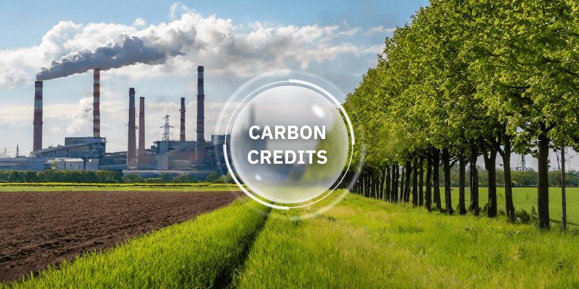 Carbon insurance: A key engine for economic growth Carbon insurance: A key engine for economic growth