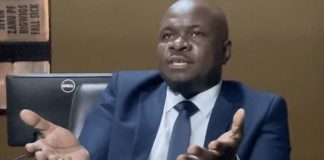 No to extending presidential term to 2030: NAP No to extending presidential term to 2030: NAP