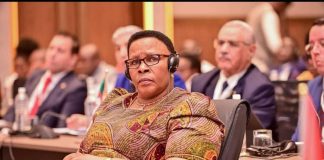 Parliament Spends US$372,000 on Chinomona’s Home Upgrade Parliament Spends US$372,000 on Chinomona's Home Upgrade