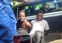 Five Family Members Arrested For Killing Relative In Guruve Five Family Members Arrested For Killing Relative In Guruve