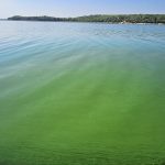 CHRA Criticizes Harare Council and Industries for Pollution CHRA Criticizes Harare Council and Industries for Pollution