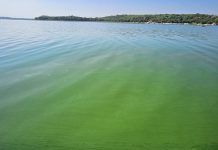 CHRA Criticizes Harare Council and Industries for Pollution CHRA Criticizes Harare Council and Industries for Pollution