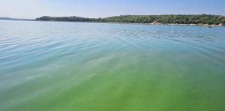 CHRA Criticizes Harare Council and Industries for Pollution CHRA Criticizes Harare Council and Industries for Pollution