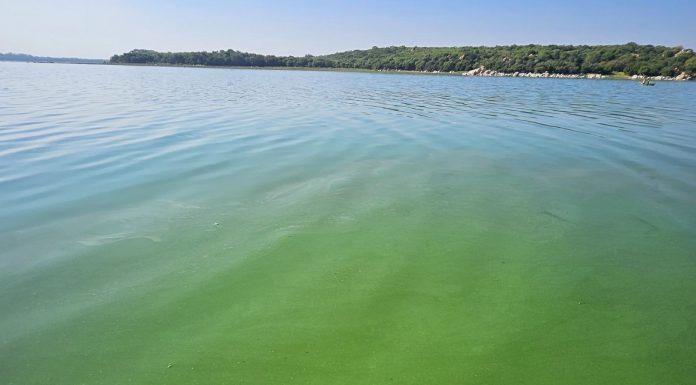 CHRA Criticizes Harare Council and Industries for Pollution CHRA Criticizes Harare Council and Industries for Pollution