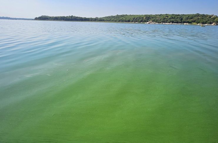 CHRA Criticizes Harare Council and Industries for Pollution CHRA Criticizes Harare Council and Industries for Pollution