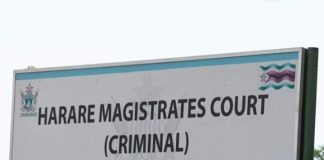 NPA Details Charges Against Guruve Murder Suspect NPA Details Charges Against Guruve Murder Suspect