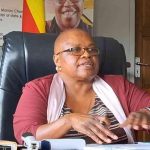 US$700m cement project signals Zim’s industrial surge US$700m cement project signals Zim’s industrial surge