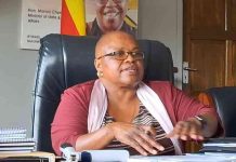 US$700m cement project signals Zim’s industrial surge US$700m cement project signals Zim’s industrial surge