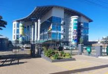 TIMB in quality push as tobacco harvest kicks off TIMB in quality push as tobacco harvest kicks off