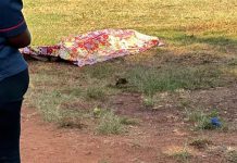 Body Of Unidentified Tourist Found In Zambezi River Body Of Unidentified Tourist Found In Zambezi River