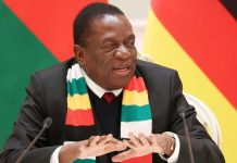 Sadc crackdown: Mnangagwa feels the heat Sadc crackdown: Mnangagwa feels the heat